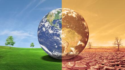 Eine Weltkugel zwischen grüner Wiese und Dürre. Die UN gehen davon aus, dass die globale Temperatur bis 2100 um 2,8 Grad steigen wird.