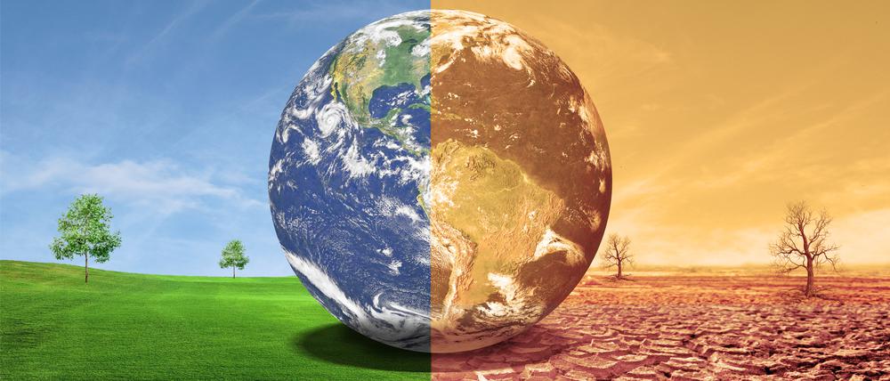 Eine Weltkugel zwischen grüner Wiese und Dürre. Die UN gehen davon aus, dass die globale Temperatur bis 2100 um 2,8 Grad steigen wird.