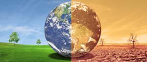 Eine Weltkugel zwischen grüner Wiese und Dürre. Die UN gehen davon aus, dass die globale Temperatur bis 2100 um 2,8 Grad steigen wird.