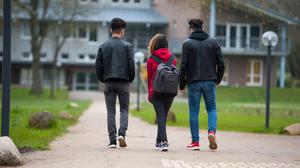 Drei jugendliche syrische Flüchtlinge gehen in Dahlem bei Dahlenburg (Niedersachsen) auf dem Gelände des Internatsgymnasiums Marienau zum Unterricht.