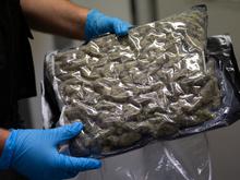 Drogenfund: Eine Tonne Marihuana in Berlin sichergestellt