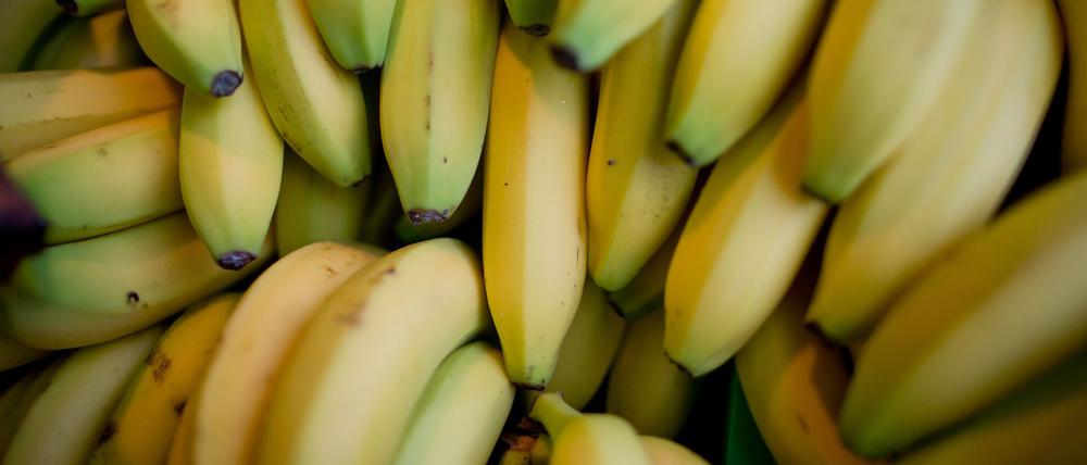 Nach einer Beschwerde beim Discounter Aldi haben Bananenarbeiter in Costa Rica Entschädigungszahlungen erhalten. (Symbolbild)