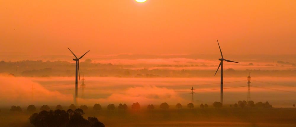Die OECD fordert mehr Tempo beim Klimaschutz. (Archivbild)