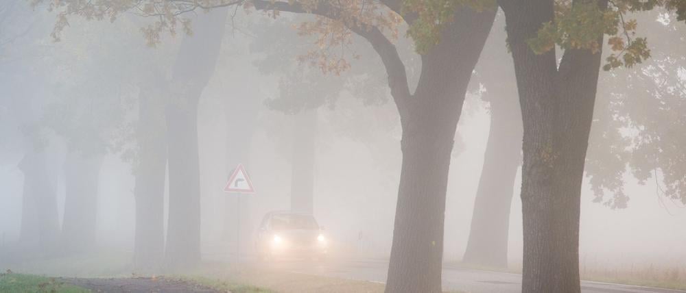 Das Wochenende in Berlin und Brandenburg ist nebelig. Laut Deutschem Wetterdienst kann es am Samstag zu Sichtweiten unter 150 Metern kommen. (Archivbild)