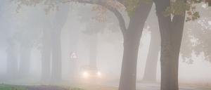 Das Wochenende in Berlin und Brandenburg ist nebelig. Laut Deutschem Wetterdienst kann es am Samstag zu Sichtweiten unter 150 Metern kommen. (Archivbild)