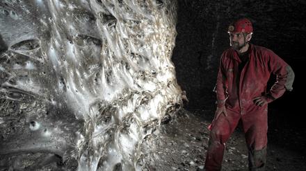 Ein Wissenschaftler vor dem riesigen Spinnennetz