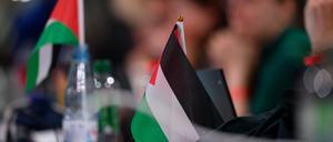 Palästina-Fahnen auf dem Bundesparteitag der Partei Die Linke in Chemnitz.
