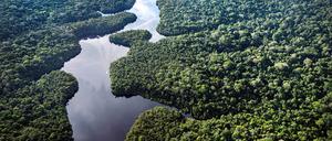 Der Fluss Curua fließt in der Nähe des Esecaflor-Projekts, bei dem Wissenschaftler eine Dürre simulieren, um zu verstehen, wie der Regenwald auf eine trockenere Zukunft reagieren könnte. 