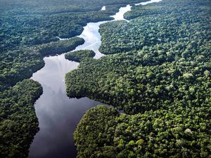 Der Fluss Curua fließt in der Nähe des Esecaflor-Projekts, bei dem Wissenschaftler eine Dürre simulieren, um zu verstehen, wie der Regenwald auf eine trockenere Zukunft reagieren könnte.