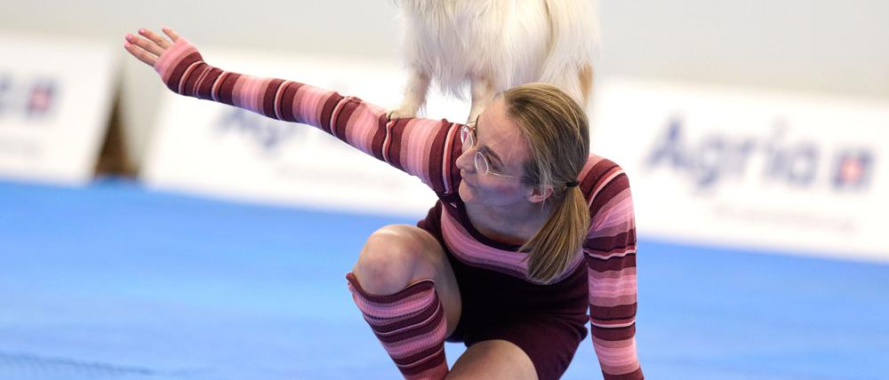 Zum Repertoire gehören zahlreiche Kunststücke.