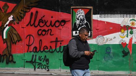 A man walks past a mural painted on a metal fence by pro-Palestinian supporters in the so-called Palestine Plaza in Mexico City on November 7, 2025. The United States and Israel on Friday accused Iran of plotting to assassinate Israel's ambassador to Mexico, in what would be the latest attempt to take the two countries' conflict to another region. (Photo by Yuri CORTEZ / AFP)