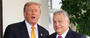 US-Präsident Donald Trump (l) begrüßt Ungarns Ministerpräsident Viktor Orban im Weißen Haus.