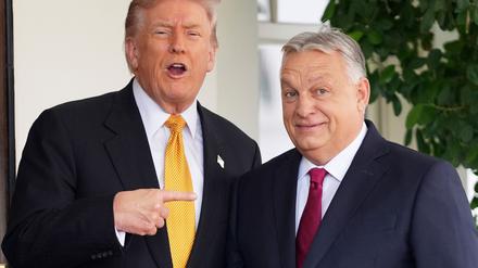Trump und Orban sind in vielen Fragen einer Meinung.