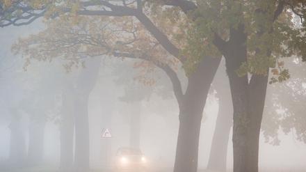 Ein nebliges Wochenende steht Berlin und Brandenburg bevor. (Archivbild)