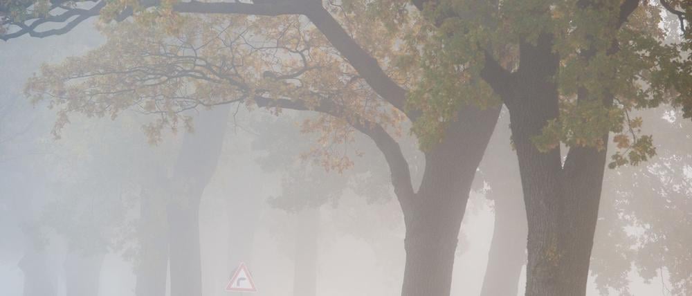 Ein nebliges Wochenende steht Berlin und Brandenburg bevor. (Archivbild)