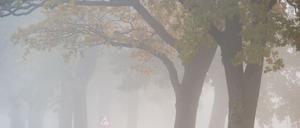 Ein nebliges Wochenende steht Berlin und Brandenburg bevor. (Archivbild)