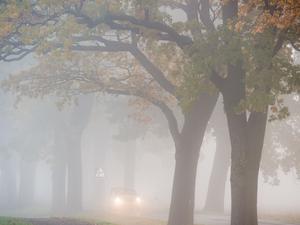 Ein nebliges Wochenende steht Berlin und Brandenburg bevor. (Archivbild)