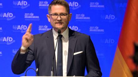 AfD-Landesparteichef René Springer.