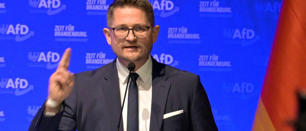 AfD-Landesparteichef René Springer.