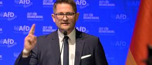 AfD-Landesparteichef René Springer.