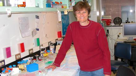 Kämpferin im Labor: Vierzig Jahre lang forschte Katalin Karikó an der Technologie, die im Biontech-Impfstoff steckt.