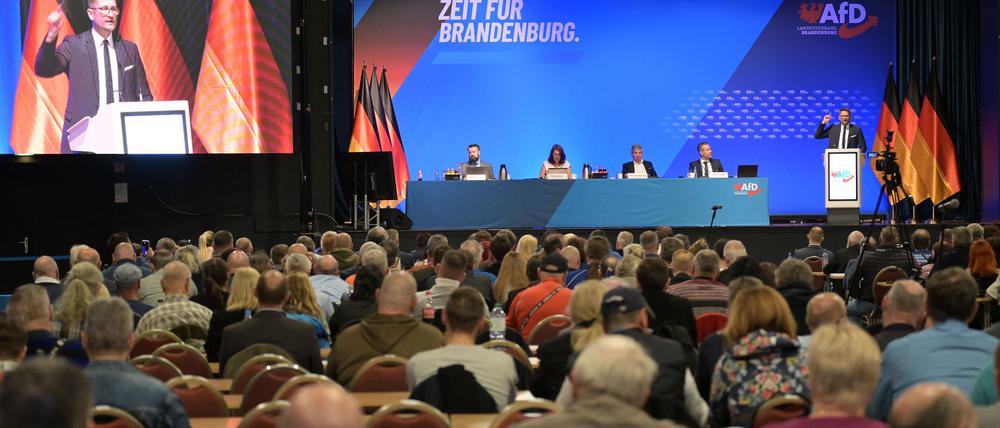 Die Brandenburger AfD hat nach strittiger Debatte eine neue Satzung beschlossen.