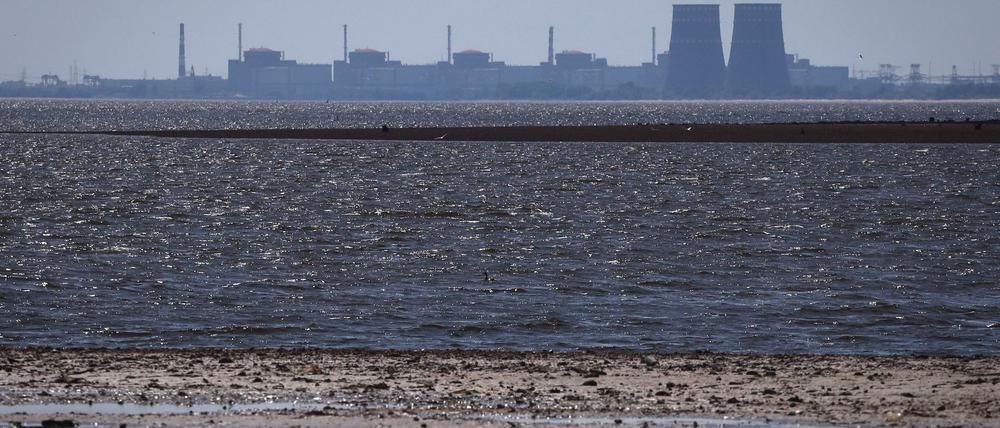 Das von russischen Truppen besetzte Atomkraftwerk Saporischschja ist wieder mit dem ukrainischen Stromnetz verbunden. (Archivbild)