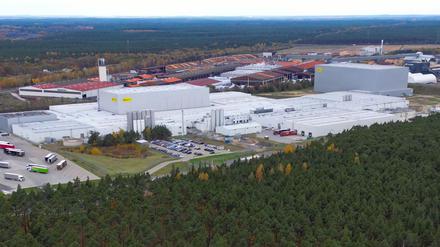 Die Unternehmen Red Bull und Rauch wollen in Baruth/Mark ein Dosen-Werk bauen - die Wasserentnahme sorgt für Diskussionen (Archivbild).