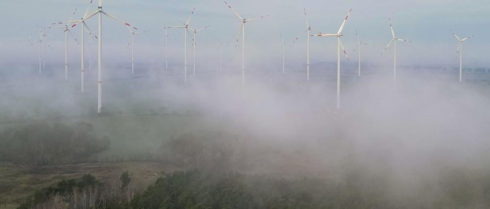 In Berlin und Brandenburg wird es zum Wochenstart grau und herbstlich. (Symbolfoto)