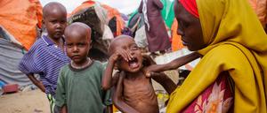 Klimafolgen treiben immer öfter Menschen in die Flucht. (Archivbild)