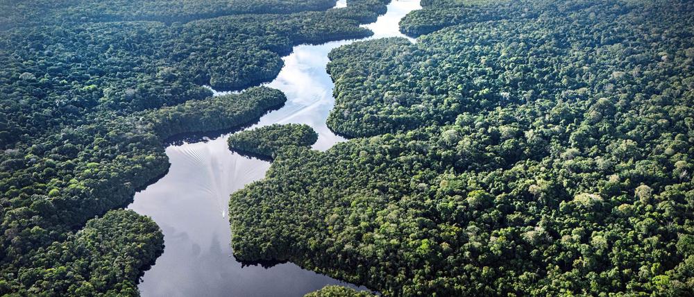 Der Amazonas: extrem wichtig fürs Klima, aber enorm unter Stress. (Archivbild)