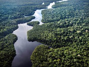 Der Amazonas: extrem wichtig fürs Klima, aber enorm unter Stress. (Archivbild)