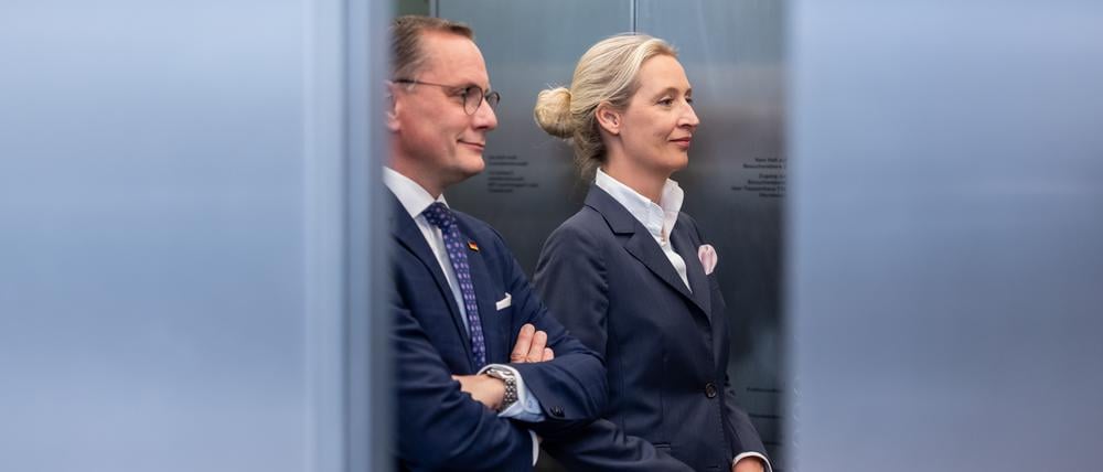 Alice Weidel und Tino Chrupalla.