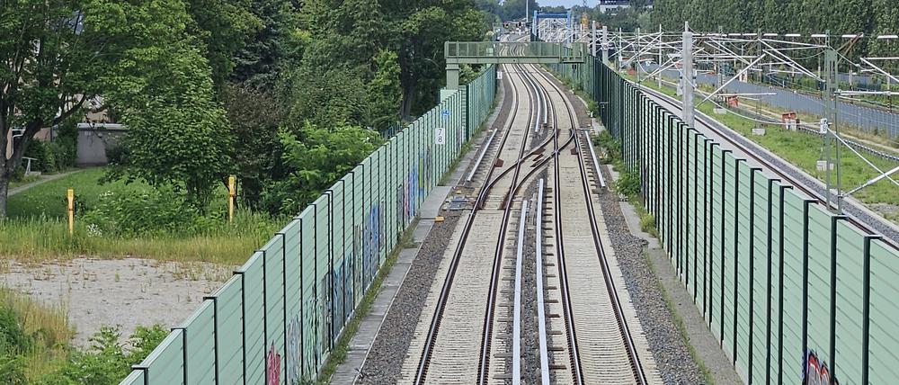 Die S-Bahn am Kamenzer Damm 