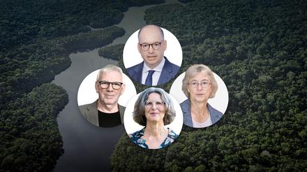 Am Rande des Regenwalds wird eine kleine Delegation Deutschland vertreten.