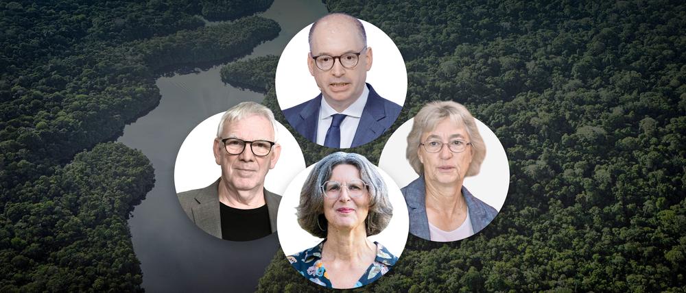 Am Rande des Regenwalds wird eine kleine Delegation Deutschland vertreten.