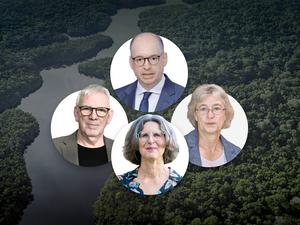Am Rande des Regenwalds wird eine kleine Delegation Deutschland vertreten.
