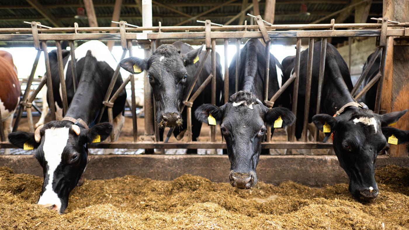 EU-Agrarf-rderung-EU-Einigung-Weniger-B-rokratie-und-Kontrollen-f-r-Landwirte