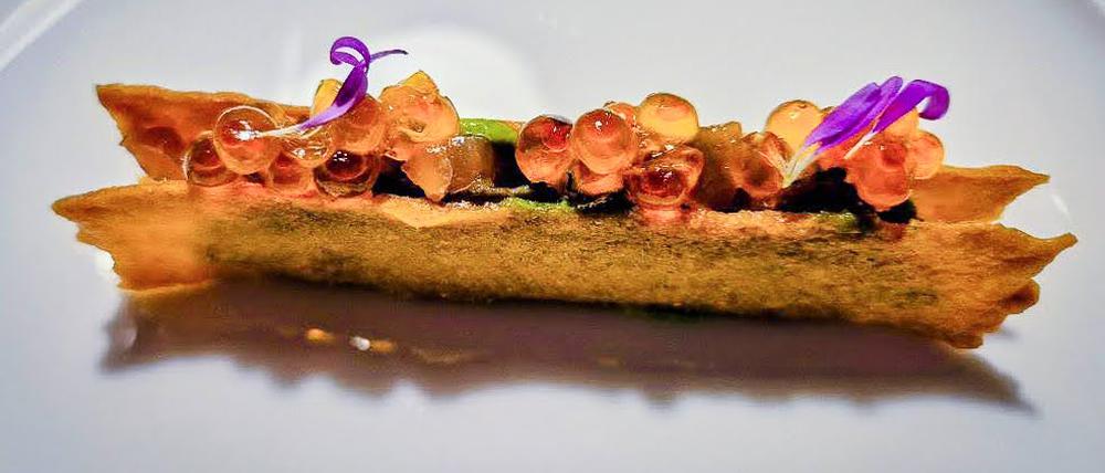 Hamachi mit Parmesanblättern