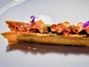 Hamachi mit Parmesanblättern