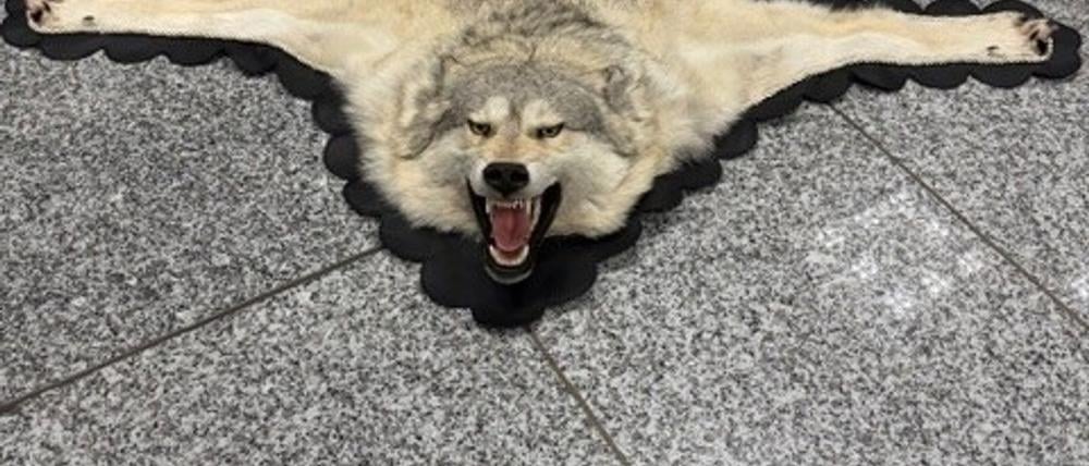 Der Zoll am Frankfurter Flughafen entdeckte ein Wolfsfell im Gepäck eines Reisenden. (Handout)