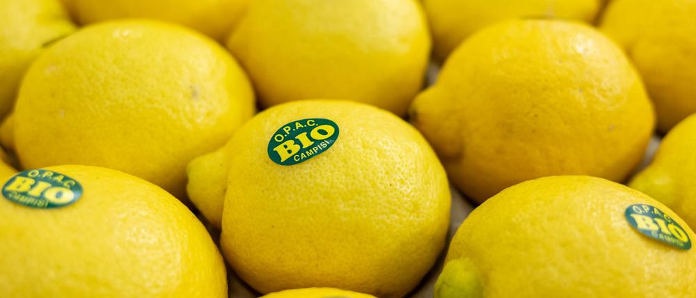 Bei vielen Verbrauchern sind Bio-Lebensmittel beliebt. (Symbolbild)