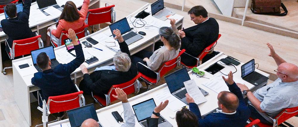 Die BSW-Fraktion im Brandenburger Landtag