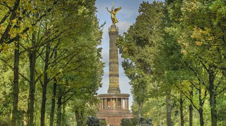 Berlin ist eine grüne Stadt - doch es sollen noch mehr Bäume gepflanzt werden.