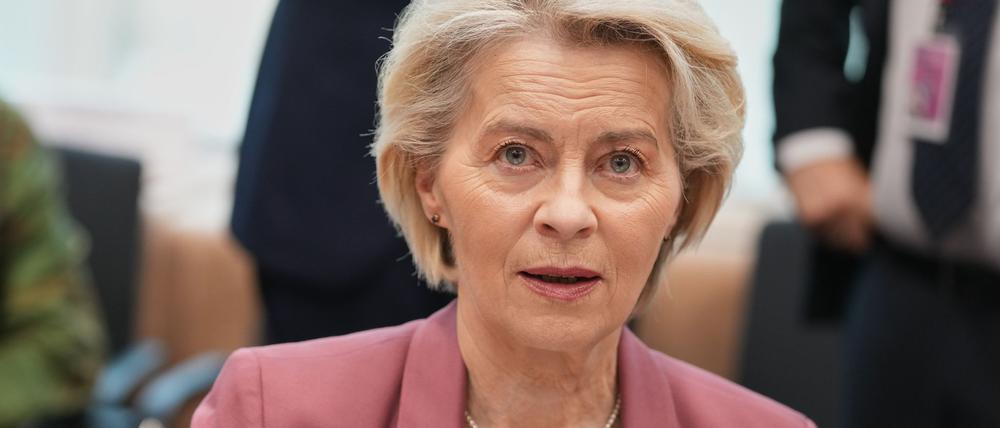 Ursula von der Leyen will einen besseren Zugriff auf Geheimdiensterkenntnisse. (Archivbild)