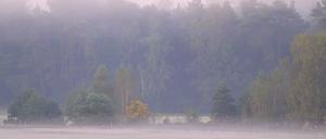 Die Nebelfelder lösen sich am Vormittag rasch auf. (Archivbild)