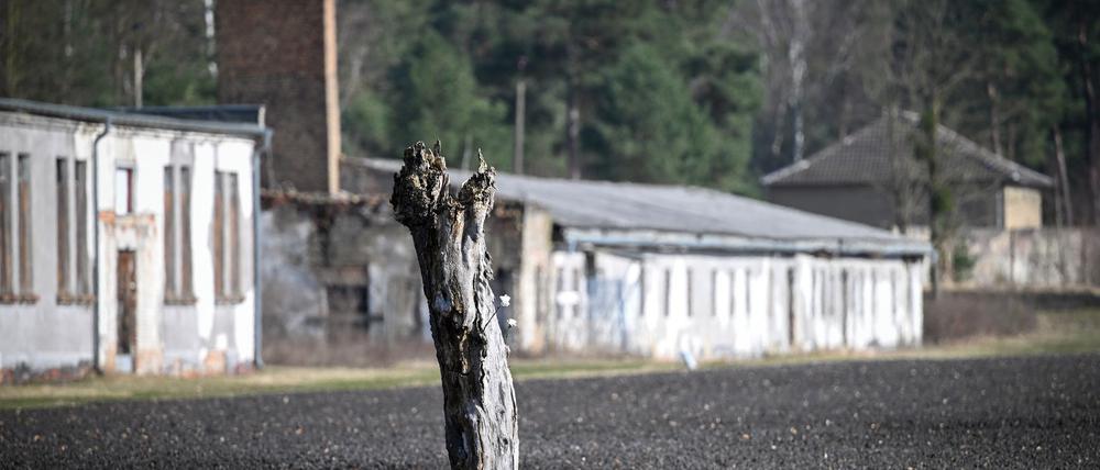 In der neuen Gedenkstättenkonzeption ist ein Schwerpunkt der Erhalt und die Sanierung historischer Orte. (Archivbild)