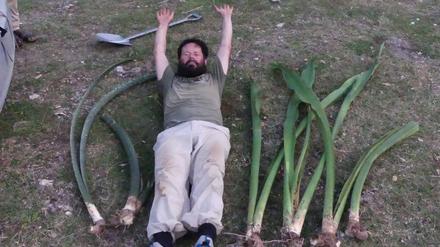 Der Botaniker Uwe Scharf im Größenvergleich mit zwei bislang unbeschriebenen Riesen-Sansevierias.