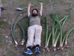 Der Botaniker Uwe Scharf im Größenvergleich mit zwei bislang unbeschriebenen Riesen-Sansevierias.