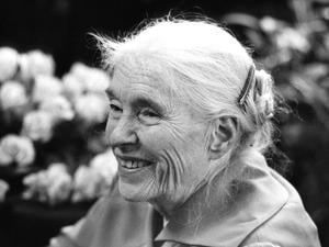 Eine große Literatin: Anna Seghers. (Archivbild)